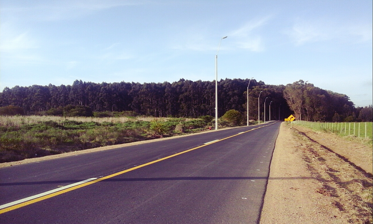 Fue condenado por hurtar leña en la ruta 10