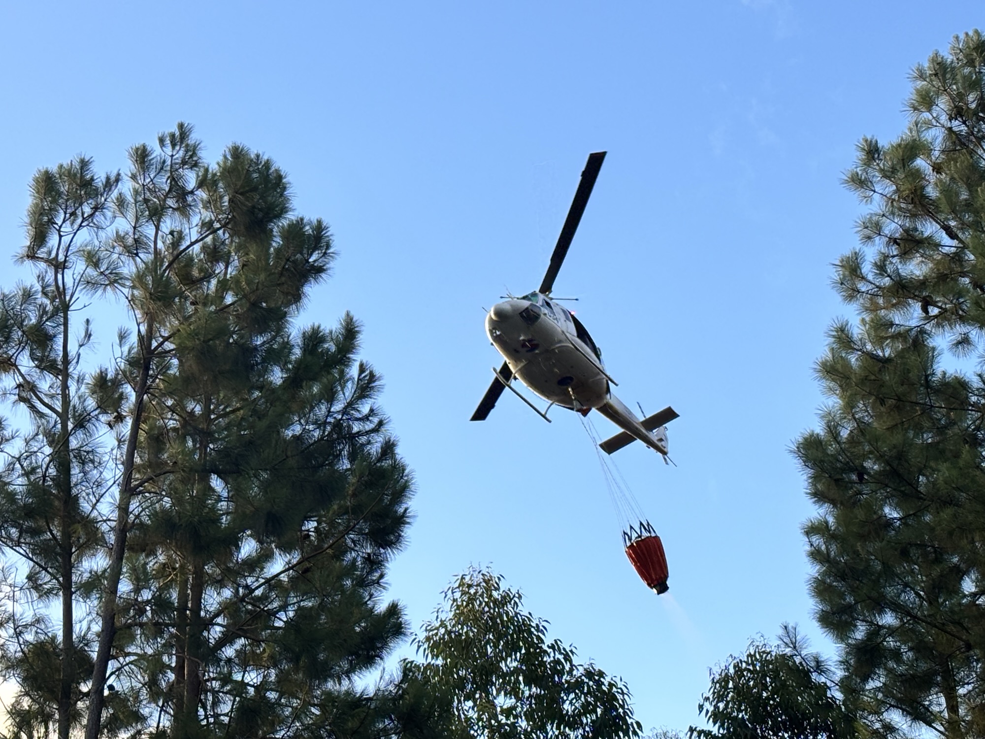 El incendio entre La Esmeralda y Punta del Diablo “está circunscripto”