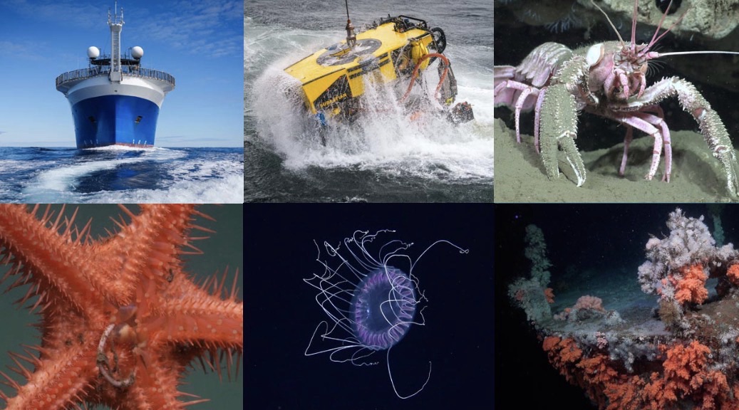 Viaje al fondo del mar: material educativo sobre la expedición Uruguay Sub200 para niños, niñas y adolescentes