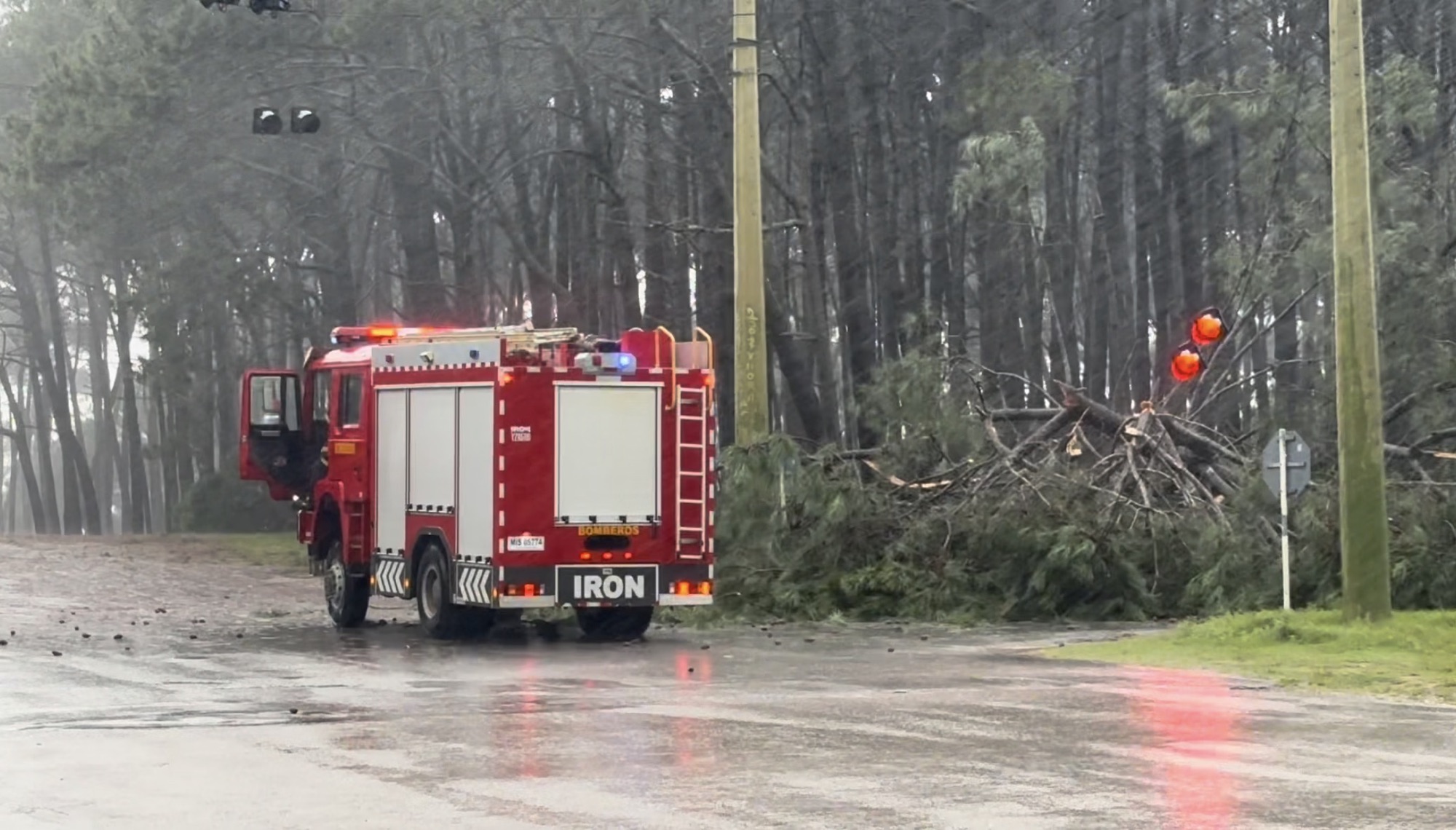 Intenso temporal de viento dejó daños muy importantes en la costa de Rocha