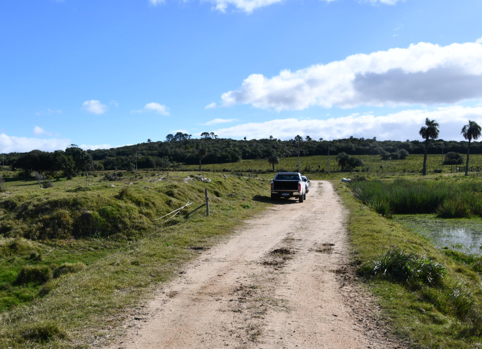 Un hombre falleció ahogado en un tajamar en la zona de la Laguna Negra