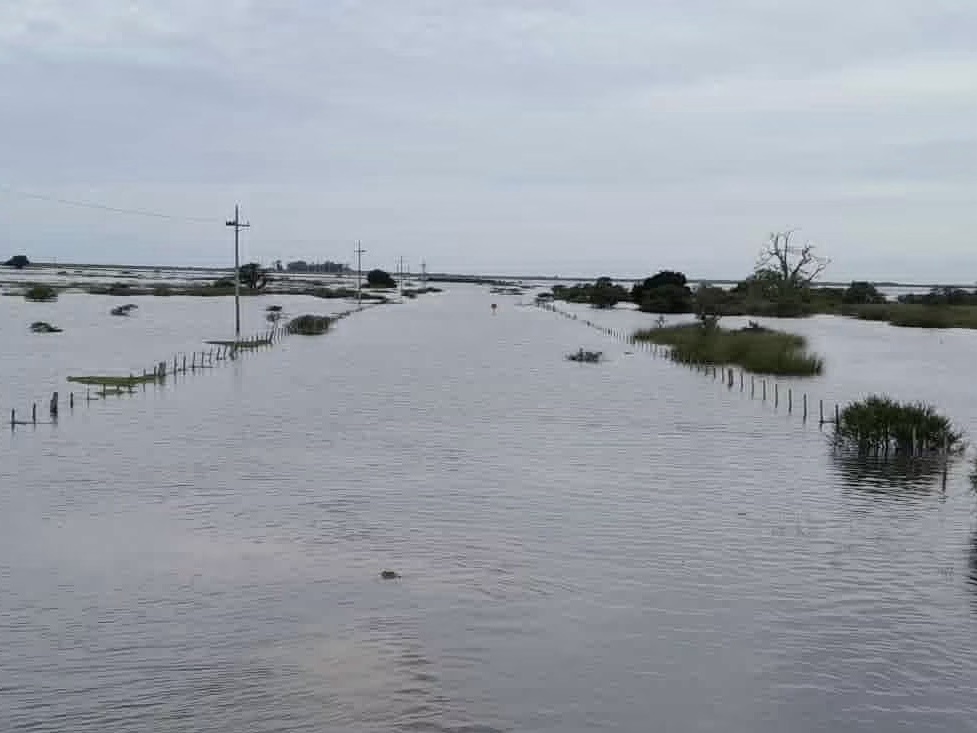 Terraplén de U$S 200.000 evitaría que el Cebollatí inunde unas 200.000 hectáreas