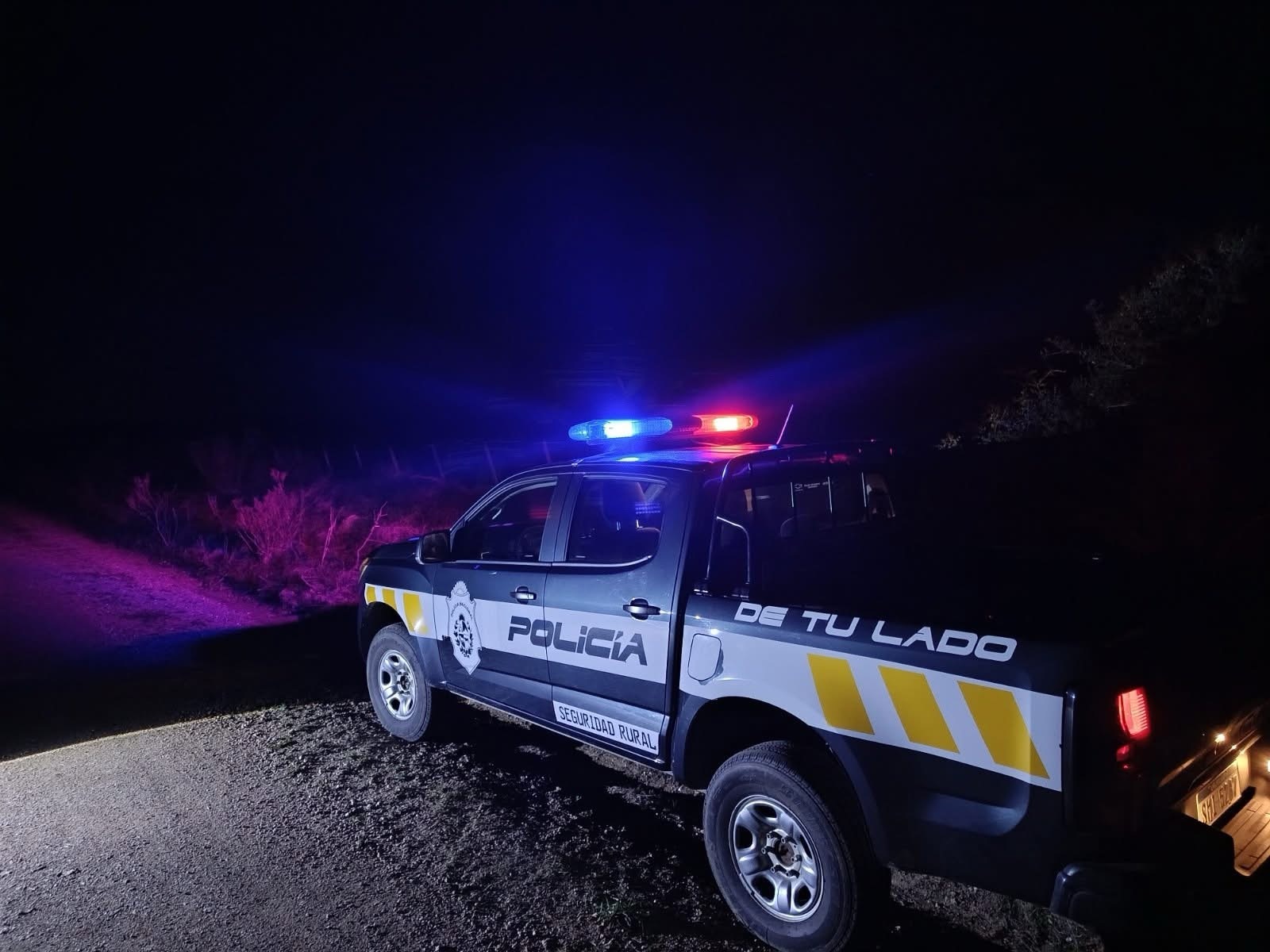 Habían faenado dos ñandú: Dos personas fueron indagadas por caza furtiva en Castillos