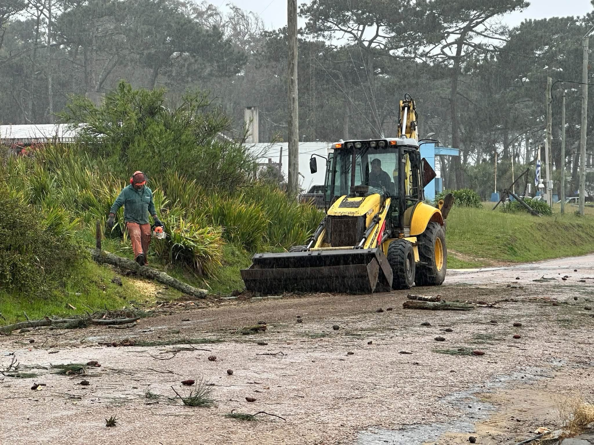 Comenzaron obras en calle Paloma